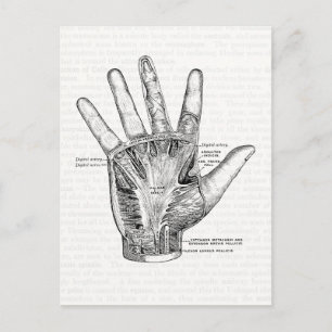 Vintage Anatomy Art Handflatan of the Hand Vykort