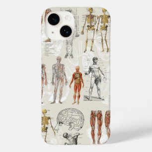 Vintage Anatomy Biology Illustrations