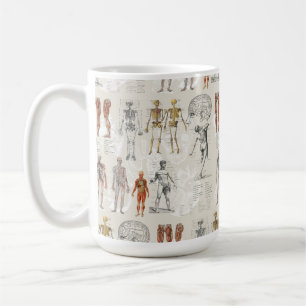 Vintage Anatomy Biology Illustrations Kaffemugg