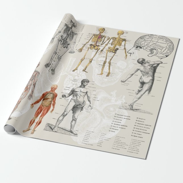 Vintage Anatomy Biology Illustrations Presentpapper (Utrullad)