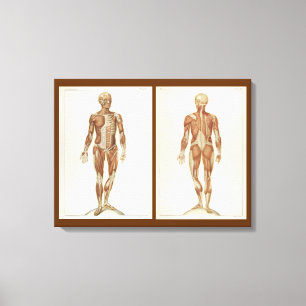 Vintage Anatomy Bok Pages Canvastryck