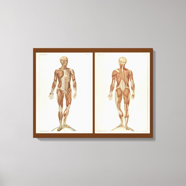 Vintage Anatomy Bok Pages Canvastryck (Framsida)