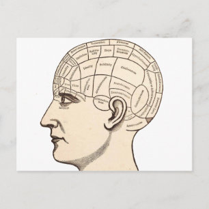 Vintage Anatomy Brain Karta Image Vykort