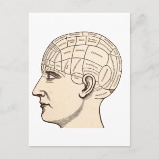 Vintage Anatomy Brain Karta Image Vykort