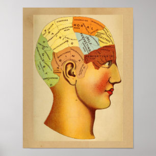 Vintage Anatomy Print Phrenology Head Chart Färg Poster