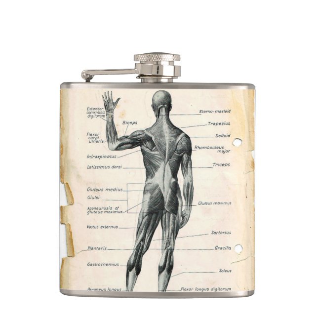 Vintage Anatomy Teckning Fickplunta (Framsidan)