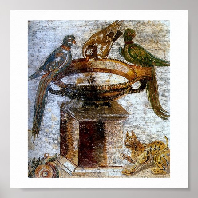 Vintage Ancient Mosaics (Pompei) Poster (Framsidan)