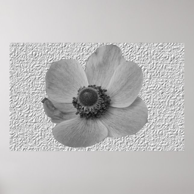 Vintage Anemone Flower-utskrift Poster (Framsidan)