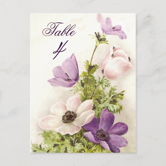 Vintage Anemone Vykort (Framsida)