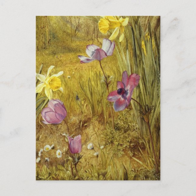 Vintage Anemones och Daffodils Henry Newman Vykort (Framsida)