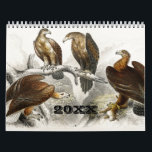 Vintage Animal Insektrare Kryp Fish Zoology Kingdo Kalender<br><div class="desc">Lustigt, vintage, djur, jultoma, humor, tecknad, helgdag, lycklig, god jul, julgran, söt, helgdagar, jultomten, jultoma, sång, jul, gott nytt år, Santa, mjukisdjur, julgran, gregoriansk kalender, jultoma, djur, roliga julklappar, julklappar, julklapp, julklapp, julpolum, enmajspappa, uppblåsbara jular. ristmas Unicorn-färgsidor, christmas Unicorn-, christmas Unicorn anna-currey, Unicorn, för christmas i vill ha en encorn...</div>