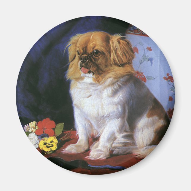 Vintage Animals, Leksak Pekingese Puppy Hund Magnet (Framsidan)