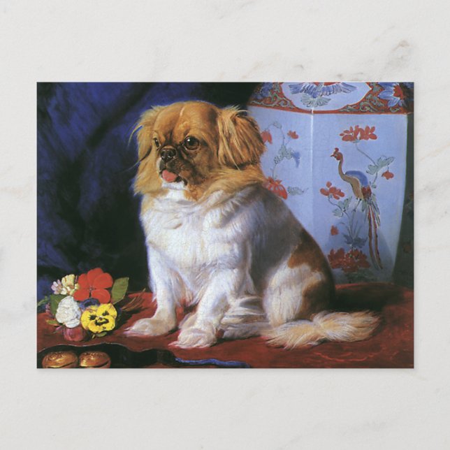 Vintage Animals, Leksak Pekingese Puppy Hund Vykort (Framsida)