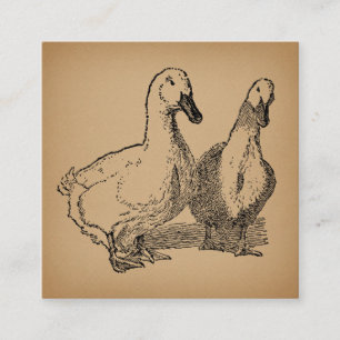 Vintage Anka Art 2 Ankor Illustration Tilläggskort