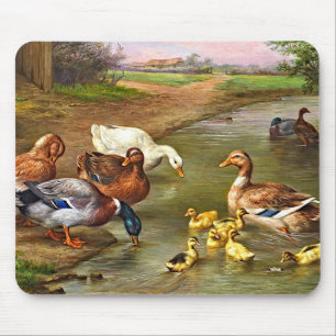 Vintage Anka Ducklings Boskap Musmatta