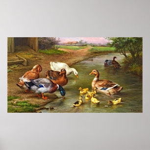 Vintage Anka Ducklings Boskap Poster