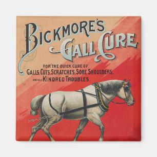 Vintage annons för Bickmore's Gall Cure for Horses Magnet