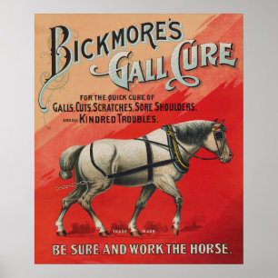 Vintage annons för Bickmore's Gall Cure for Horses Poster