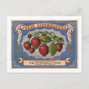 vintage annons för färska jordgubbar, rund 1868 vykort