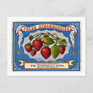 Vintage annons för färska jordgubbar, rund 1868 vykort