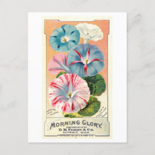 Vintage annons for Ferry & Co. God morgon Glory Se Vykort