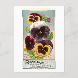 Vintage annons for Ferry & Co. Pansy Seeds Vykort