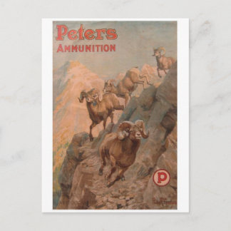 vintage annons Poster vykort