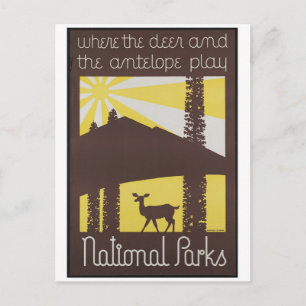 vintage annons Poster vykort