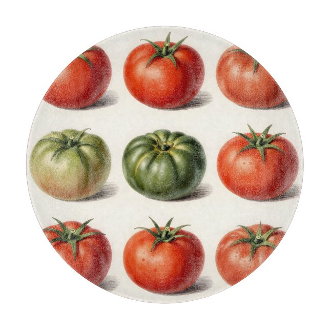 Vintage-antik Tomatvariant Botaniskt Rutnät  (Framsidan)