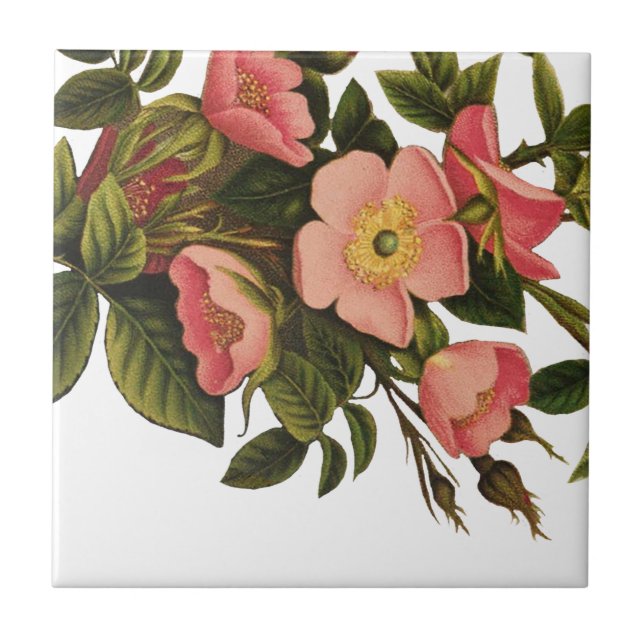 Vintage Antique Art Ro Flower Art Illustration Kakelplatta (Framsidan)
