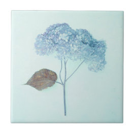 Vintage Antique Blue Hydrangea Land Blommigt Kakelplatta