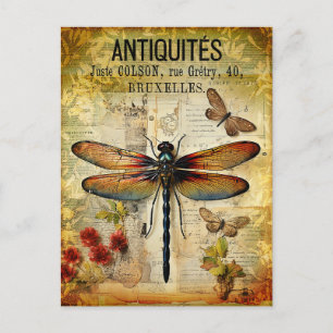 Vintage Antique Dragonfly Vykort
