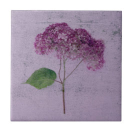 Vintage Antique Lila Hydrangea Land Blommigt Kakelplatta