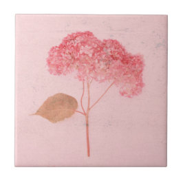 Vintage Antique Rosa Hydrangea Land Blommigt Kakelplatta