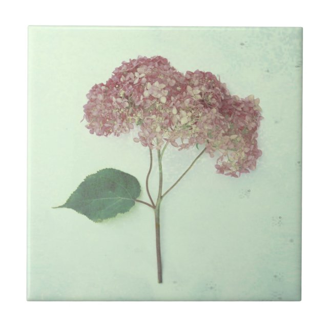 Vintage Antique Teal Rosa Hydrangea Land Blommigt Kakelplatta (Framsidan)
