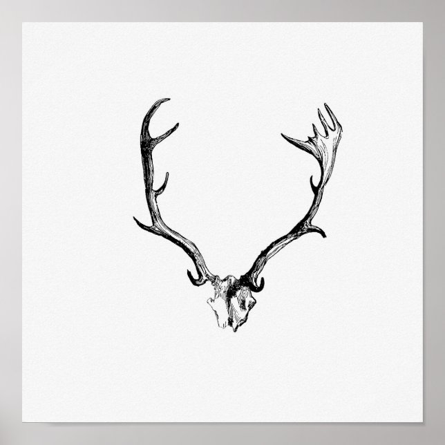 Vintage Antlers Illustration Poster (Framsidan)