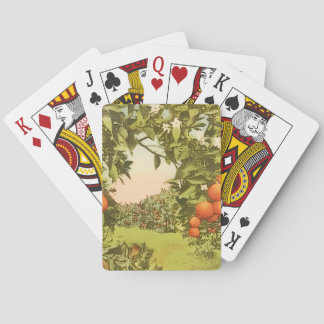 Vintage apelsinlund casinokort