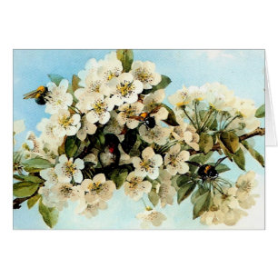 Vintage Apple-Blommar Hälsningskort