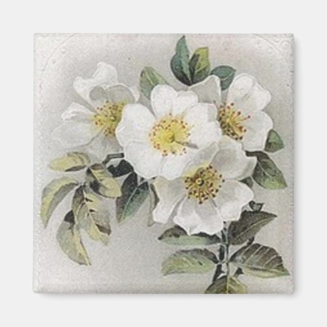 Vintage Apple Blommar Magnet (Framsidan)