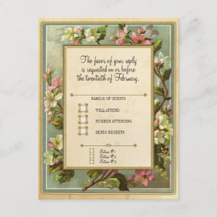 Vintage Apple Blommar, Tea Nedfläckad Typography OSA Kort