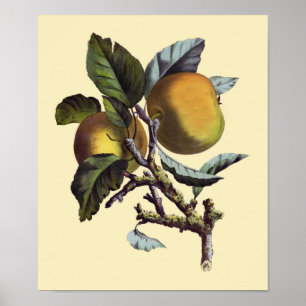 Vintage Apple Gren Poster
