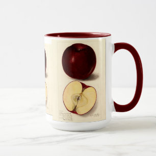 Vintage Apple Mugg