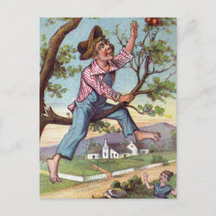 Vintage Apple Picking Vykort