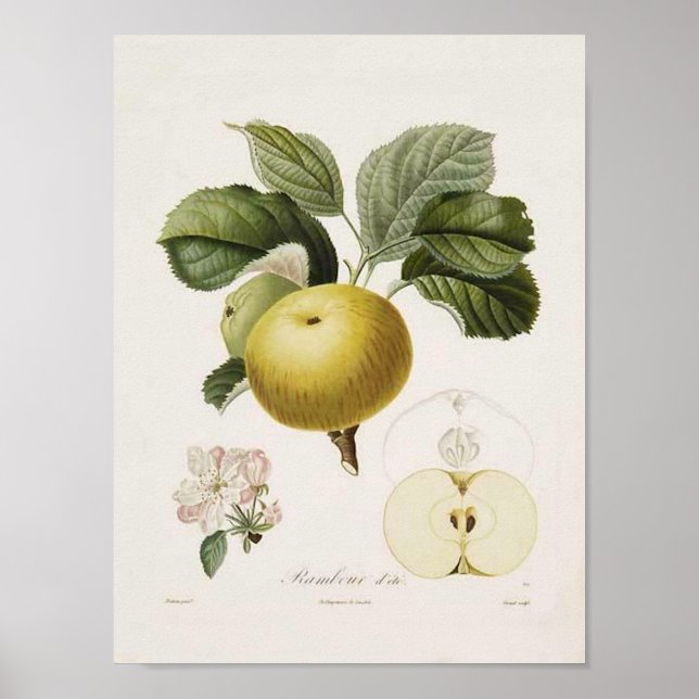 Vintage Apple Poster (Framsidan)