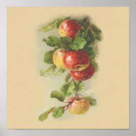 Vintage äpplen poster