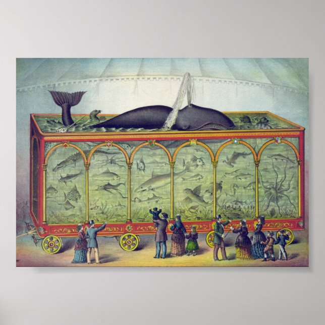 Vintage Aquarium Ad Poster (Framsidan)