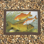 Vintage Aquatic Goldfish Koi Fish, Marine Sea Life<br><div class="desc">Vintage illustrerar hur havslevande djur är utformade. Koi Goldfish simmar i en damm eller sjö med kelp,  sjögräs och alger.</div>