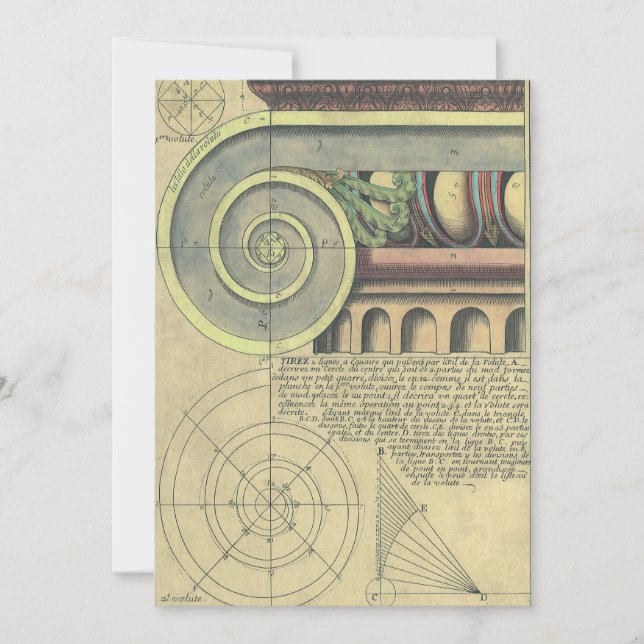 Vintage Architecture; Capital Volute by Vignola (Framsida)