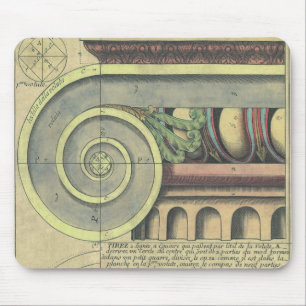 Vintage Architecture; Capital Volute by Vignola Musmatta