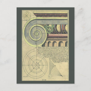 Vintage Architecture; Capital Volute by Vignola Vykort